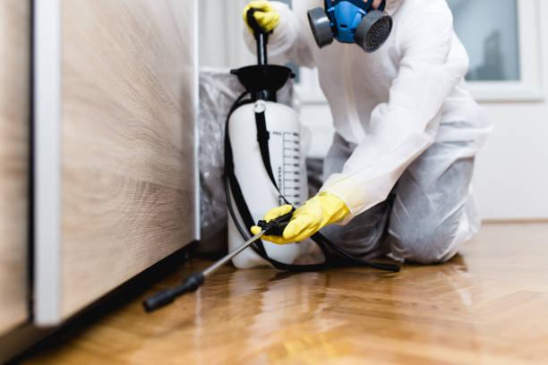 Best Termite Control Services  in Siesta Key, FL