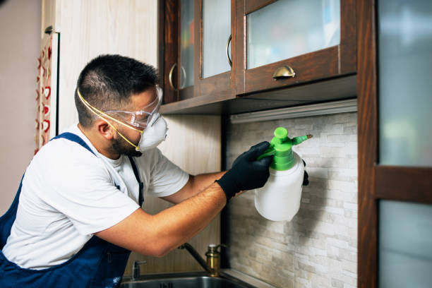 Best Pest Prevention Services  in Siesta Key, FL