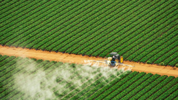 Best Mosquito Control Services  in Siesta Key, FL