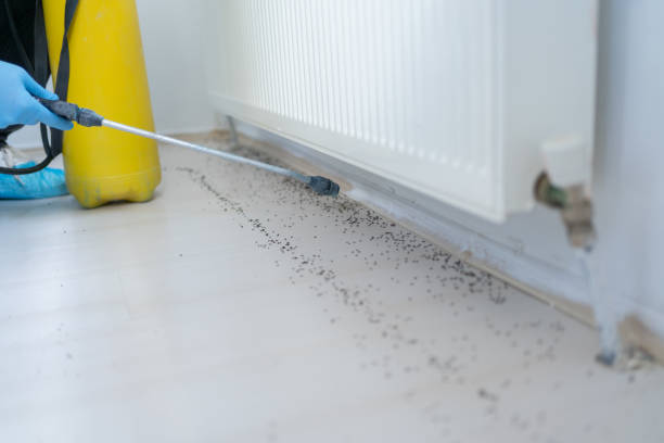 Best Pest Control for Businesses  in Siesta Key, FL