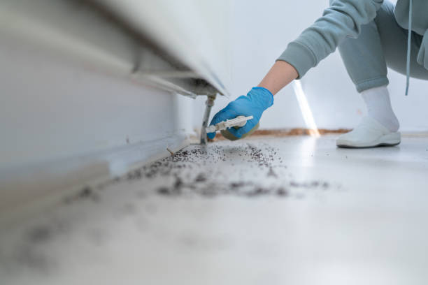 Wildlife Control Services in Siesta Key, FL